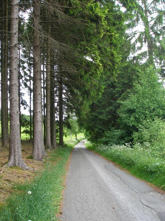 Hoppe Wildewiese